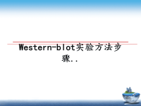 最新Western-blot实验方法步骤..课件PPT.ppt