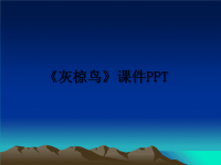 最新《灰椋鸟》课件PPT教学讲义PPT.ppt