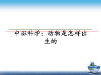 最新中班科学：动物是怎样出生的课件PPT.ppt