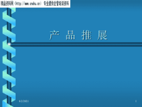 [精选]产品市场推广方案.pptx