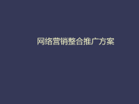 [精选]网络营销整合推广方案.pptx