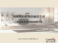 [精选]猫王组合龙网络推广方案ppt.pptx