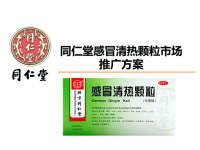 [精选]同仁堂感冒清热颗粒市场推广方案.pptx