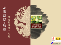 [精选]北京_龙湾别墅和苑网络营销推广方案_48PPT_焦点.pptx