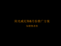 阳光威尼斯房地产项目推广方案.pptx