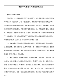 教师个人教育心得感想合集5篇.docx