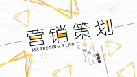 黄色简约营销策划商业计划书PPT模板