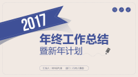 2017个人工作总结PPT(图文)