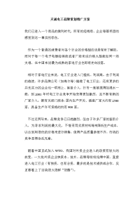 电工品牌策划推广方案