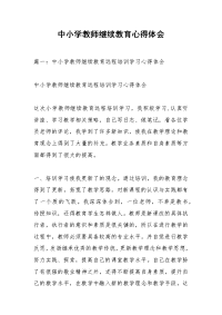 中小学教师继续教育心得体会