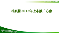 某饮料格瓦斯上市推广方案.pptx