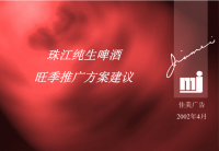 珠江纯生啤酒旺季推广方案建议.pptx