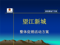 “望江新城”活动推广方案.pptx
