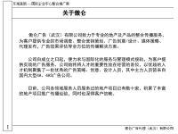 东湖高新国际企业中心整合推广方案.pptx
