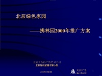 拂林园某某年推广方案.pptx