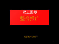 汉正国际整合推广方案.pptx