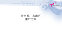 贵州醇广东地区推广方案.pptx