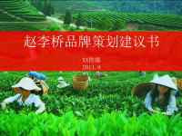 黑茶传播推广方案.pptx