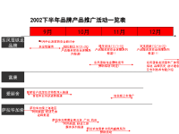 东风雪铁龙品牌推广方案.pptx