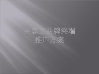 芙蓉王品牌终端推广方案.pptx