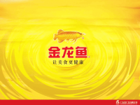 金龙鱼品牌年度推广方案（PPT45页).pptx