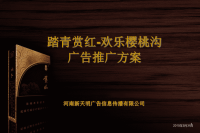 “万象黄山”上市广告推广方案.pptx