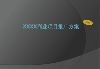 xxxx商业项目推广方案.pptx