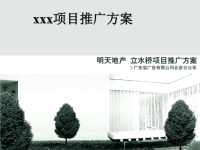 xxx楼盘项目推广方案.pptx