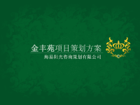 聊城金丰苑推广方案.pptx