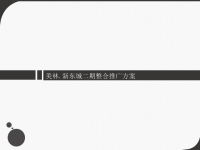 美林新东城二期整合推广方案.pptx