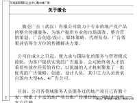 某国际企业中心整合推广方案.pptx