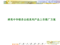 某护肤品产品上市推广方案.pptx