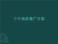 某企业冰淇淋华东地区推广方案.pptx