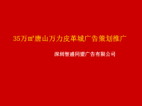 某皮革城广告策划推广方案.pptx