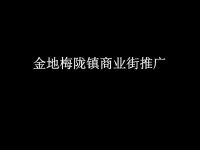某商业街整体形象定位及推广方案.pptx