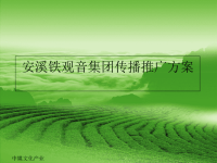 某铁观音集团传播推广方案.pptx