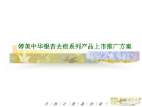 婷美中华银杏去痘系列产品上市推广方案--yz2009--1921@msn.cn.pptx