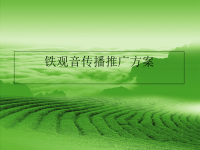 铁观音传播推广方案.pptx