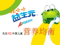 娃哈哈益生元推广方案.pptx