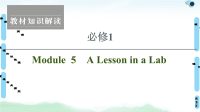 2021版 必修1 Module 5 A Lesson in a Lab课件PPT