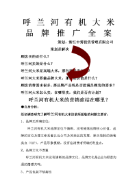 大米品牌推广方案