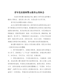 青年党员教师警示教育心得体会