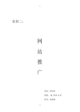公司网站推广方案-5页