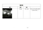 大树花卉报价单工作表