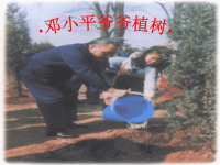 精品系列：人教版一年级语文下册《邓小平爷爷植树》课件PPT