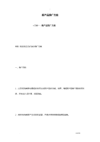 新产品推广方案