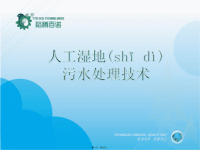 最新人工湿地污水处理技术简介精品课件