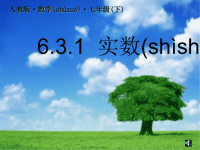 最新人教版七年级下册数学《实数课件PPT》精品课件