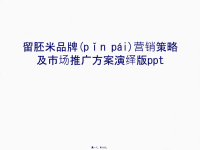最新留胚米品牌营销策略及市场推广方案演绎版ppt电子教案精品课件