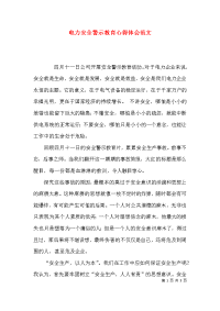 （精选）电力安全警示教育心得体会范文x
